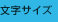 文字サイズ
